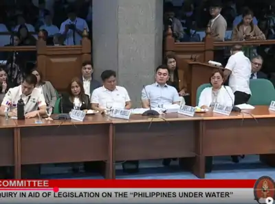 senate blue ribbon committee fimg